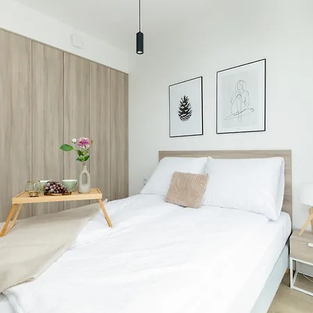 Shellter By Solarento *